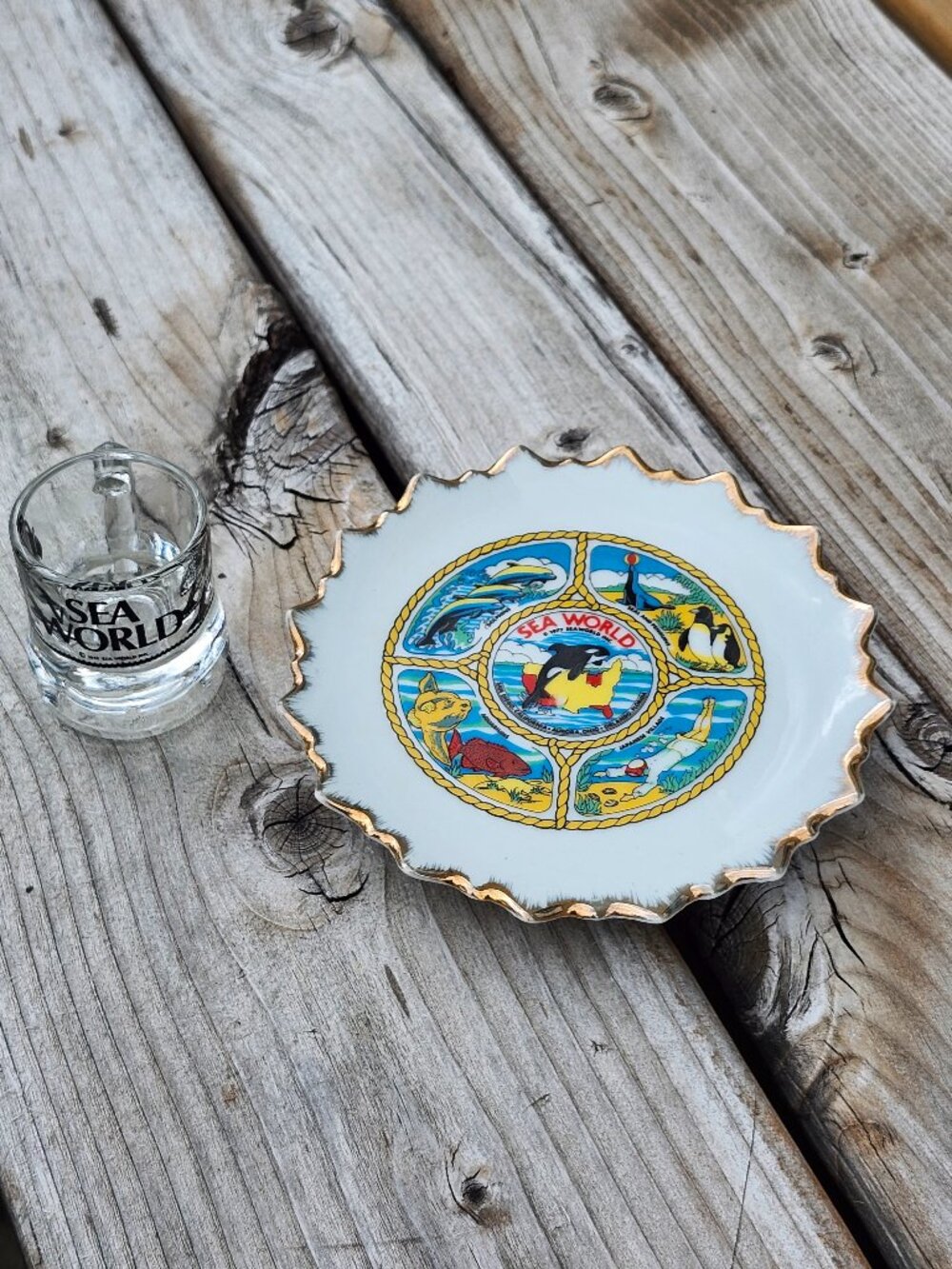 Vintage Sea World Orca Mini Mug Shot Glass and Souvenir Plate 1977